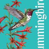 Little Book Of Hummingbirds