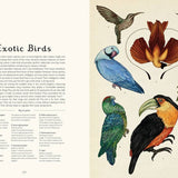 Animalium