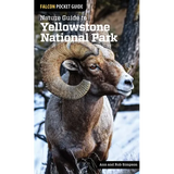 Nature Guide to Yellowstone National Park