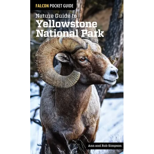 Nature Guide to Yellowstone National Park