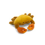 Crab (small) - All Around the World