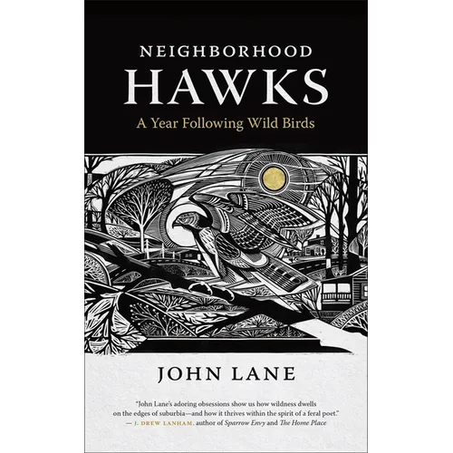 Neighborhood Hawks: A Year Following Wild Birds