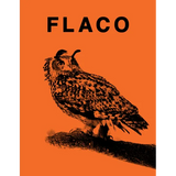 Flaco: The Owl Who Escaped Captivity and Won the Hearts of the World