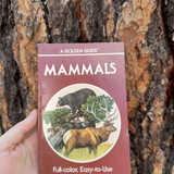 mammals: golden guide