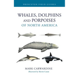 Whales, Dolphins, and Porpoises of North America